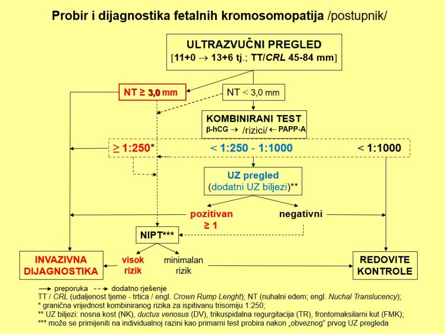 Probir i dijagnostika kromosomopatija - postupnik Slide2